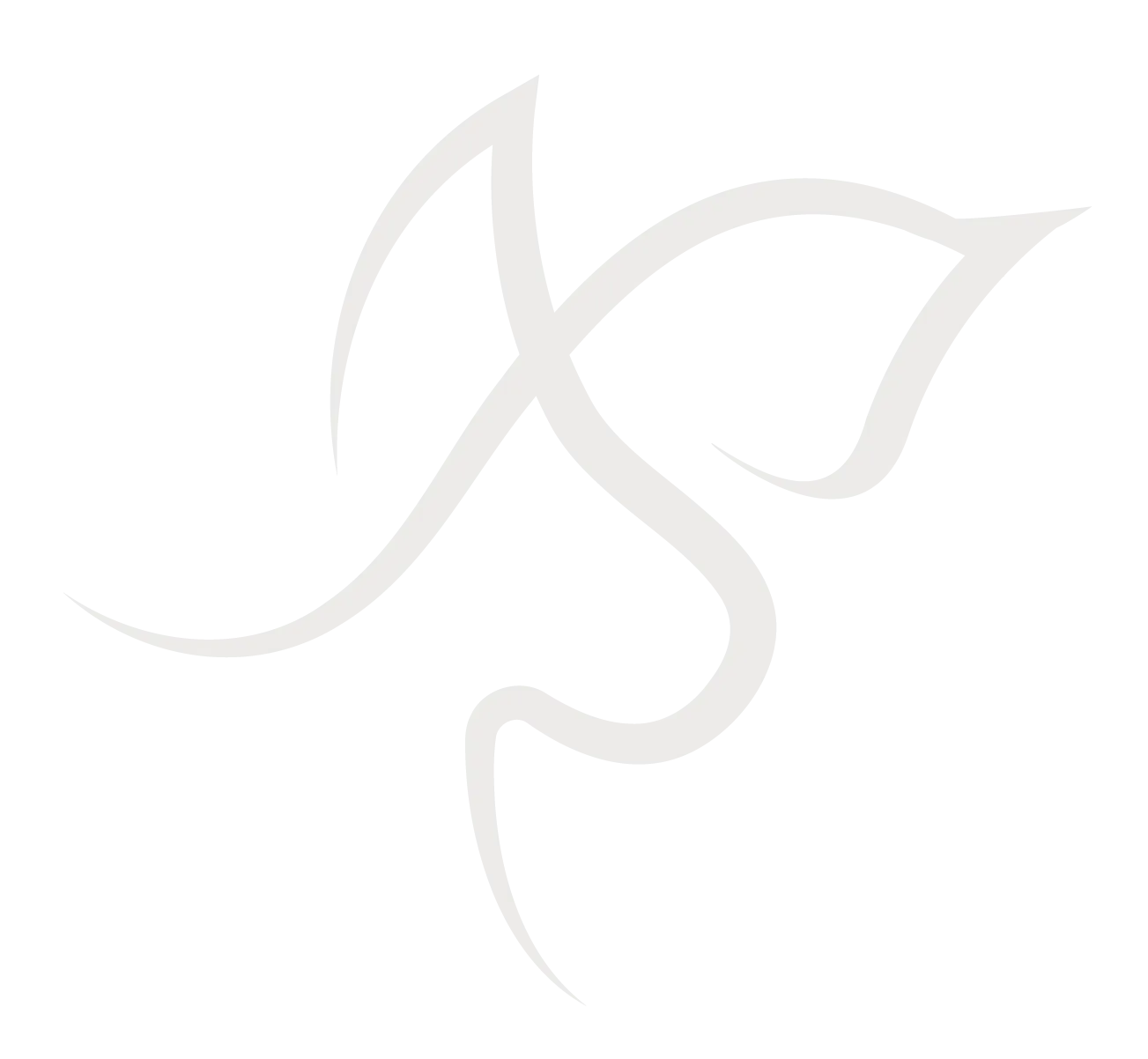 Abstract floral logo for a medical aesthetics clinic in Colorado Springs.